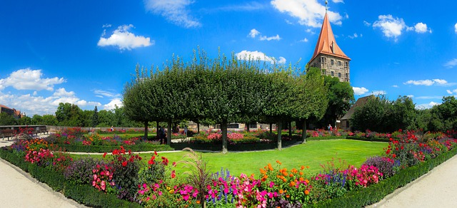 Qual a Grama Mais Usada para Jardim?