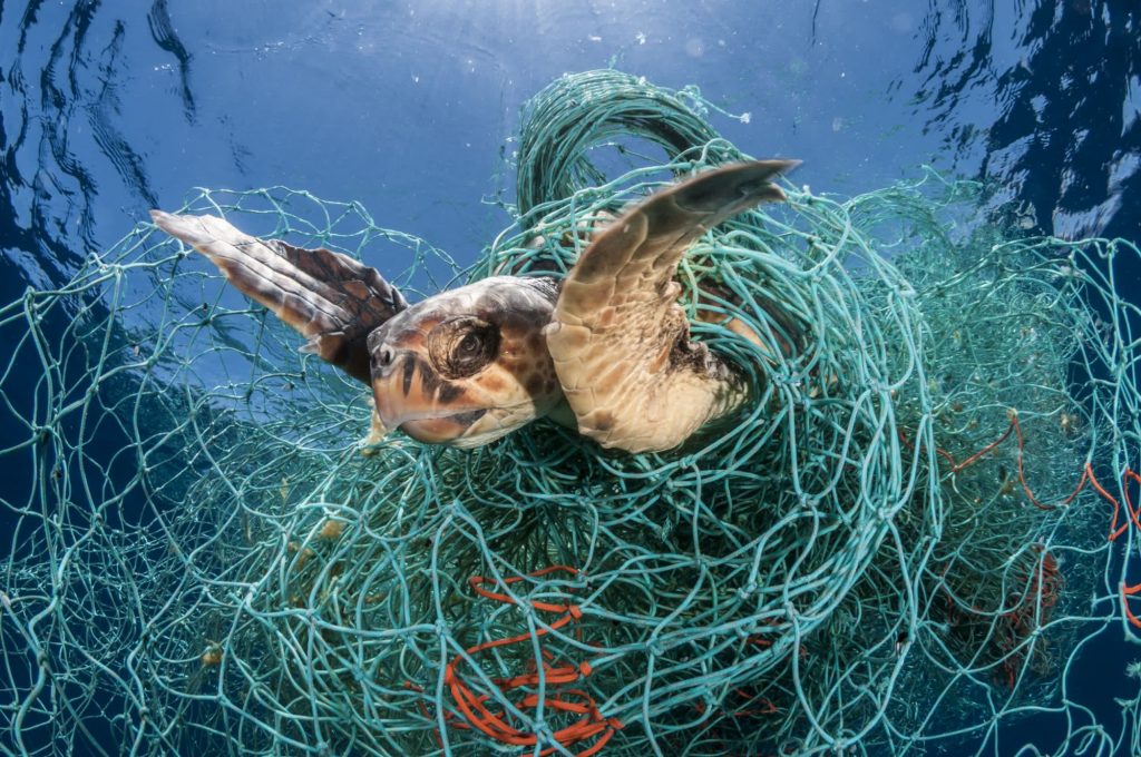 Poluição por Plástico: Os Impactos Profundos nos Oceanos