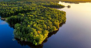 Amazônia