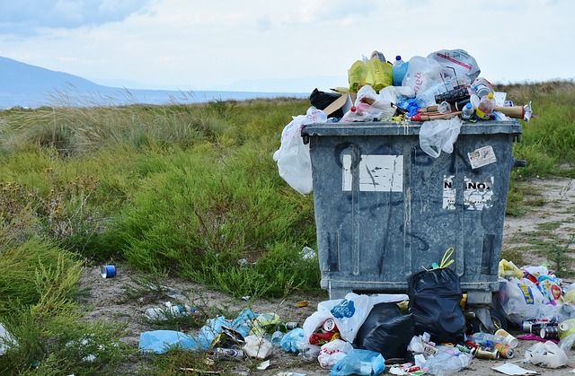 Poluição do Solo: Uma Ameaça Crescente ao Meio Ambiente