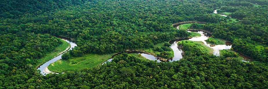 Principais Biomas Terrestres: A Fascinante Diversidade da Terra