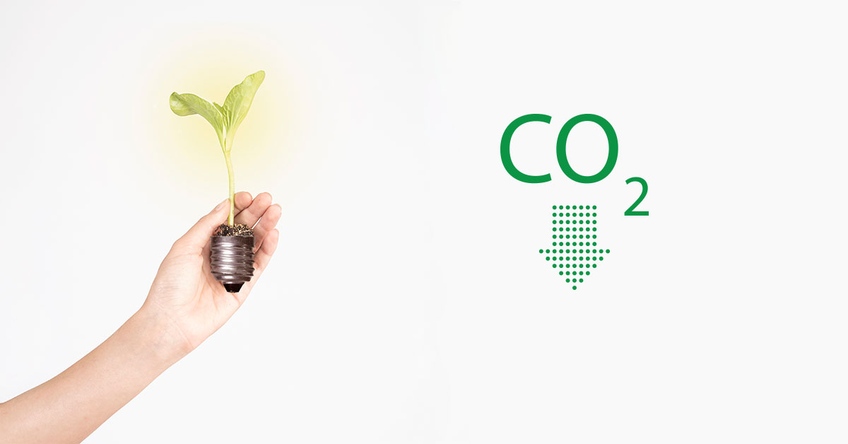 Co это. Снижение со2. Картинка 2. Знак co2. Co2 без фона.