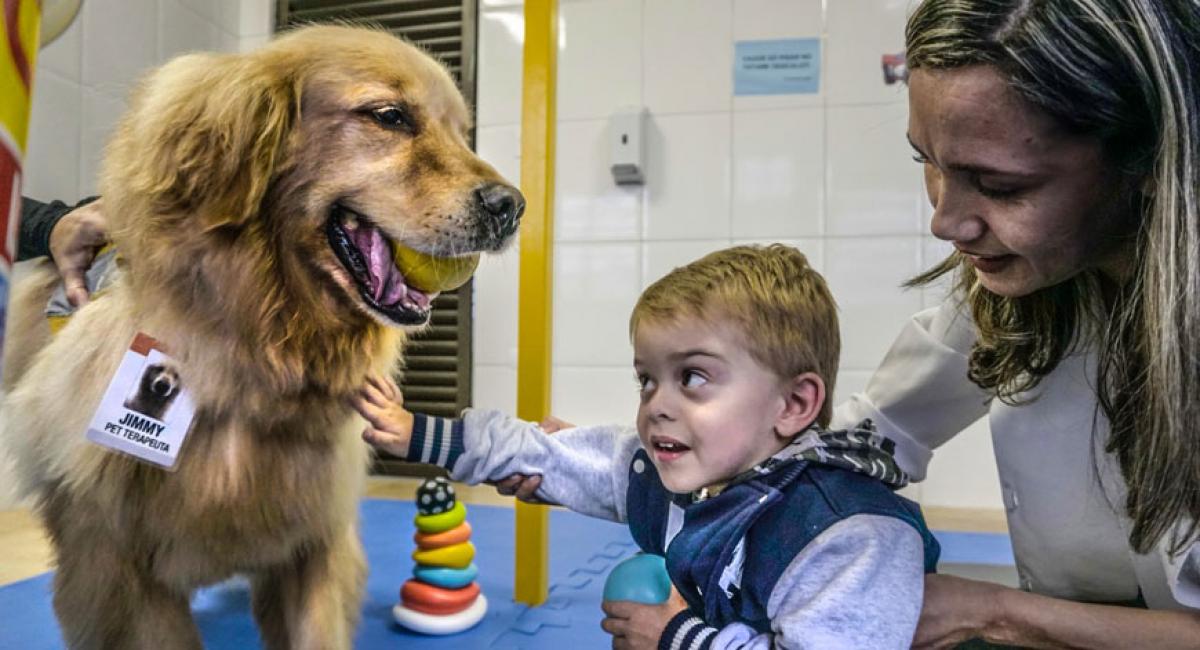 Terapia com Cães: Benefícios Surpreendentes