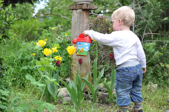 niño regando flores