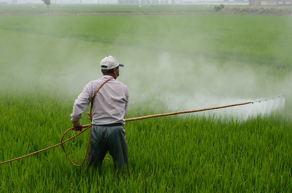 Agrotóxicos e Biodiversidade: Ameaças Reais