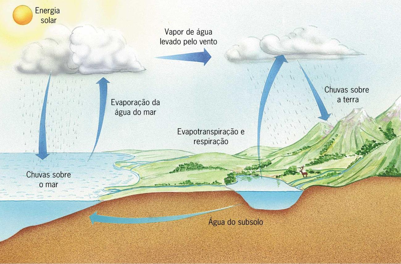 Ciclos Biogeoquímicos na Natureza